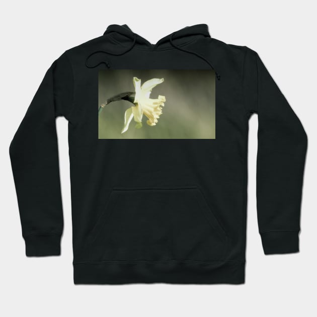 Daffodil Hoodie by Nigdaw